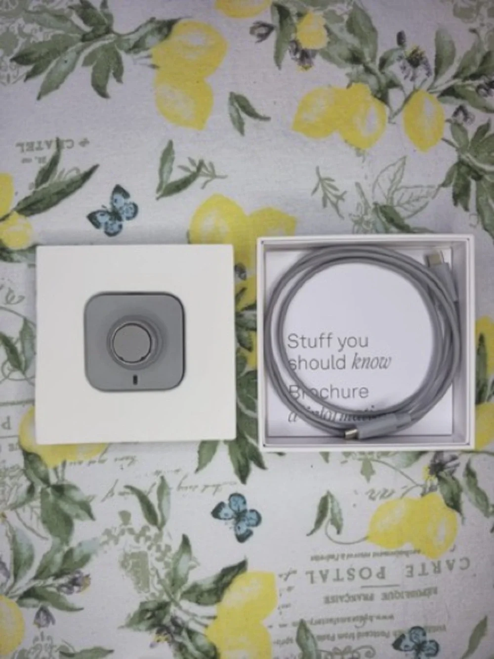 Oura Ring 4 Silver Size 9 w/ Charger – Great Condition